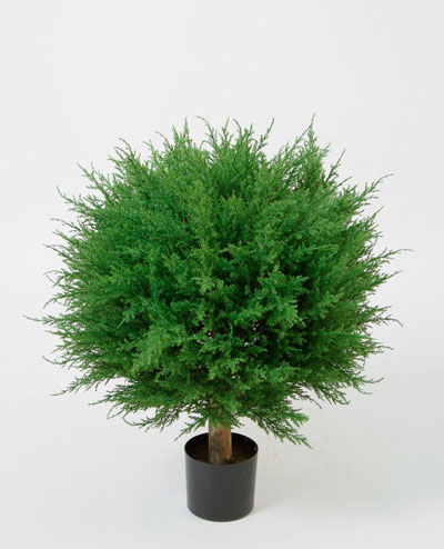 1125-040 Cupressus Ball Tree 40cm, 1125-050 Cupressus Ball Tree 50cm, 1125-073 Cupressus Ball Tree 73cm